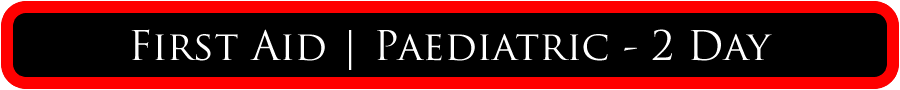 Two Day Paediatric First Aid